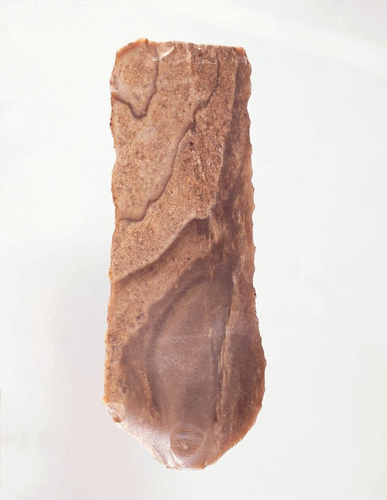 mE 536