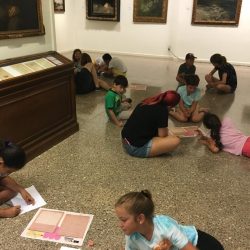 Activitats 5
