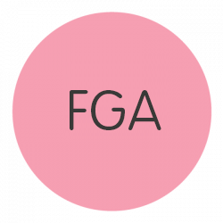 FGA-2.png