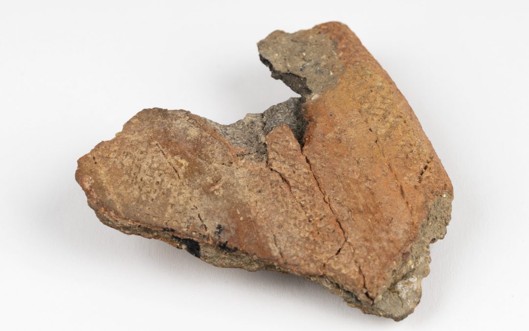 Fragment de vas