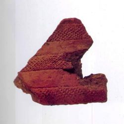 Fragment de vas