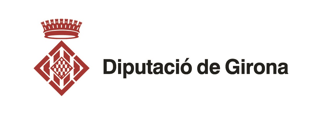 logo diputació 2