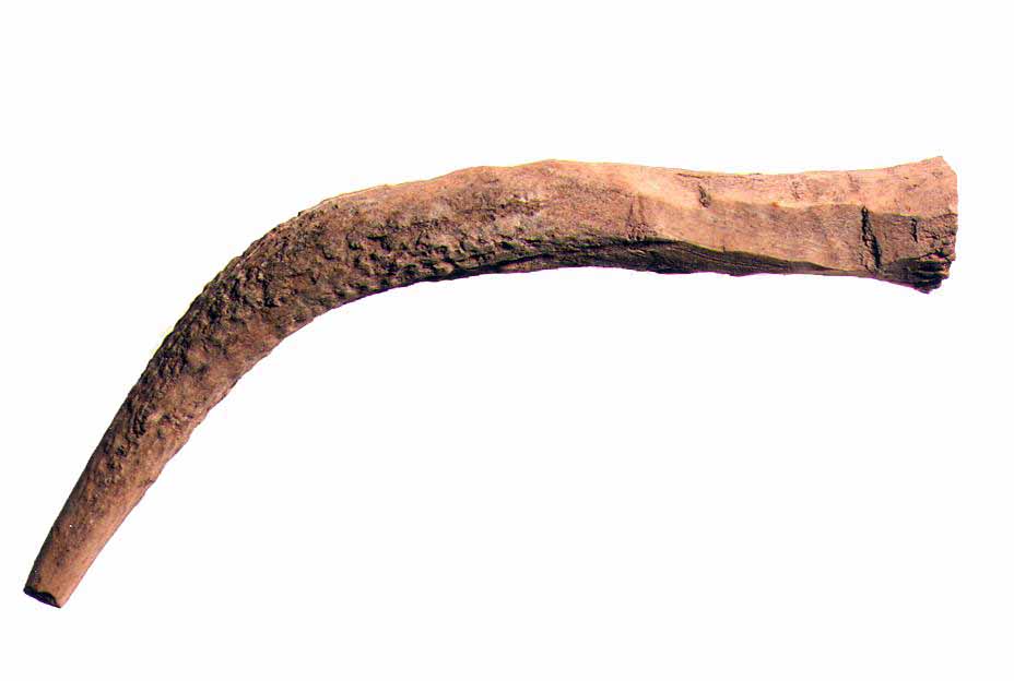 mE 169