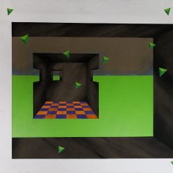 Habitat: Interior / camps