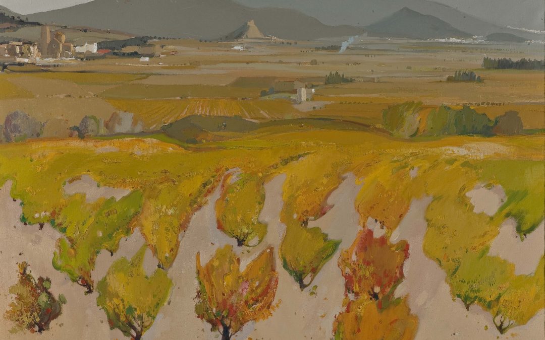 Paisatge amb vinyes