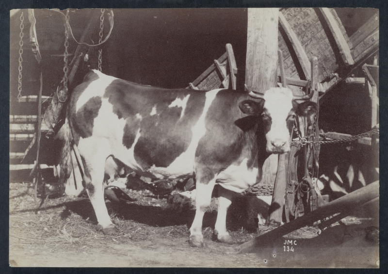 mE 1890