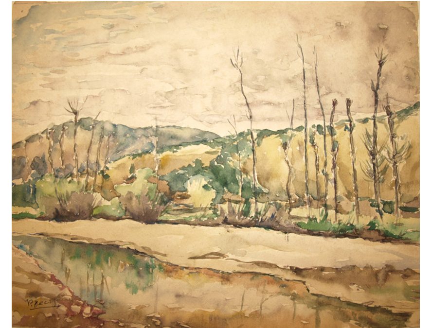 Pantano de Santolea (Las Planas de Castellote)