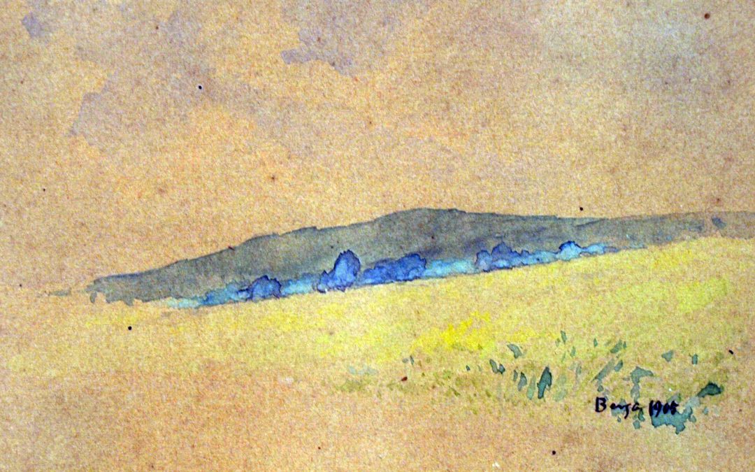 Paisatge olotí