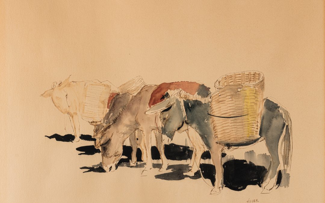 Burros