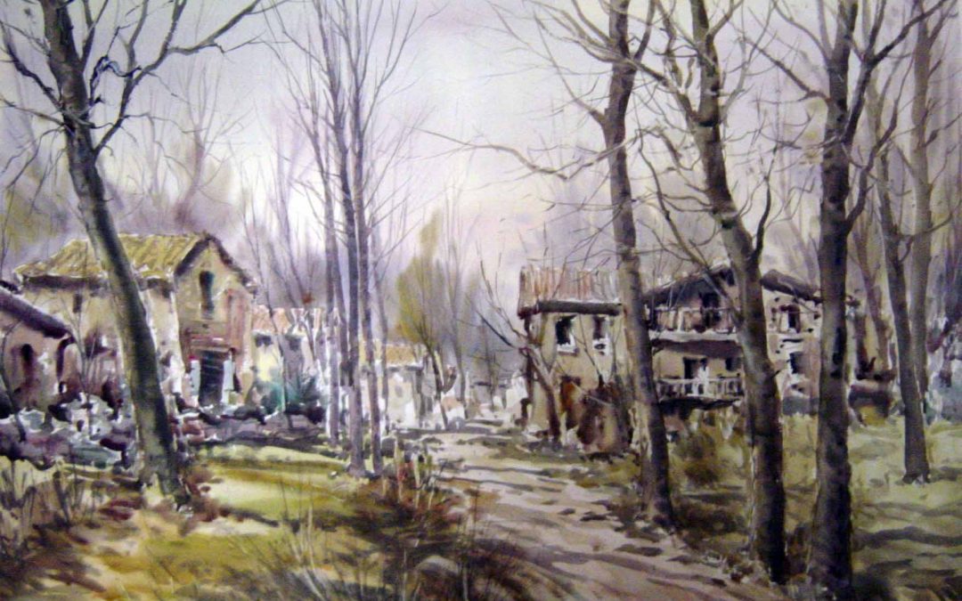 Els arbres de la Moixina