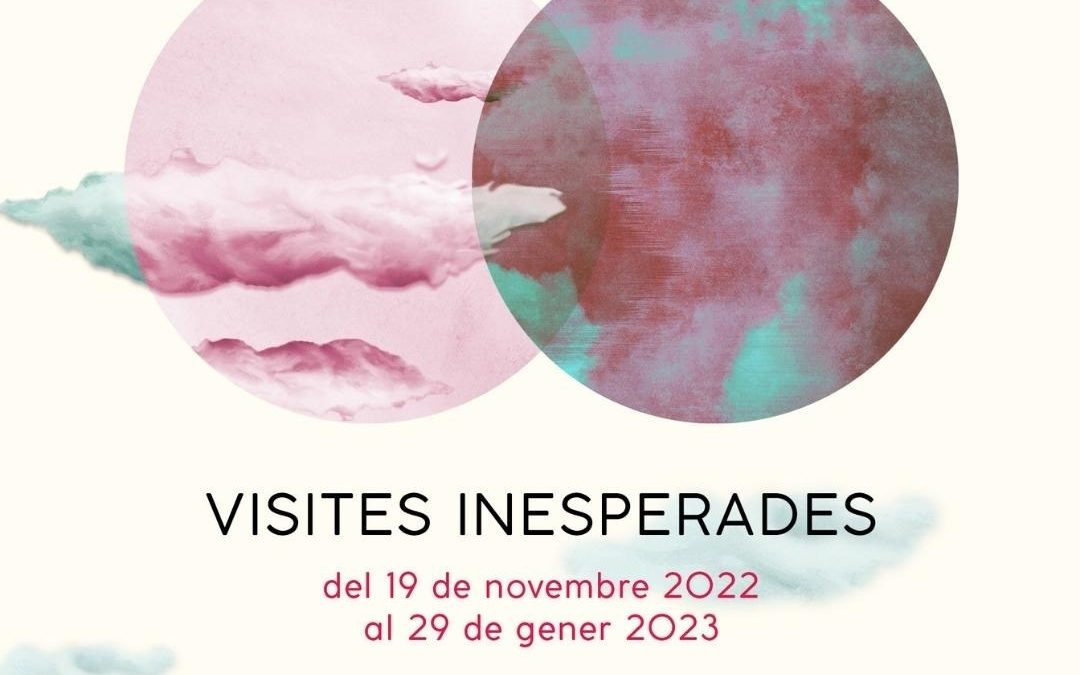 VISITES INESPERADES