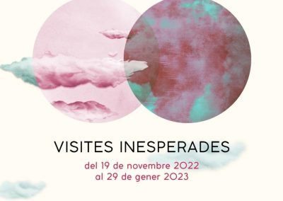 Visita comentada diàleg expositiu “Visites inesperades”