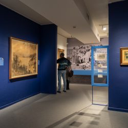 Visita comentada a l’exposició