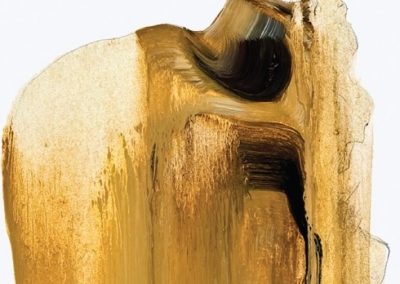 Visita comentada a l’exposició “Adrià Ciurana. M’abrigo de terra”