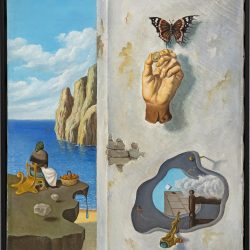 L’amor i la papallona