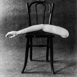 Taula rodona. “Fotografia i literatura. La imatge i la paraula escrita”