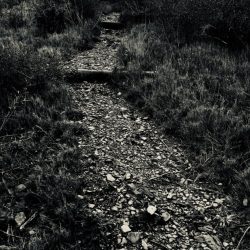 DESENTERRAR ÉS TORNAR