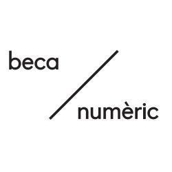 Beca Numéric 2026